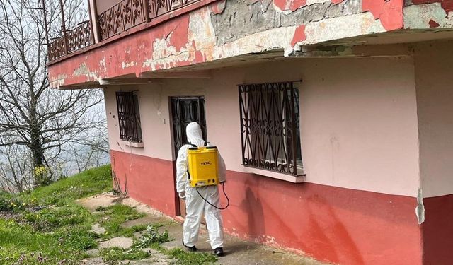 Kahverengi Kokarca ile Mücadele Düzce'de Devam Ediyor