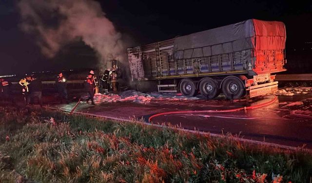 Karacabey'de tırda çıkan yangın: Bursa yolu trafiğe kapatıldı
