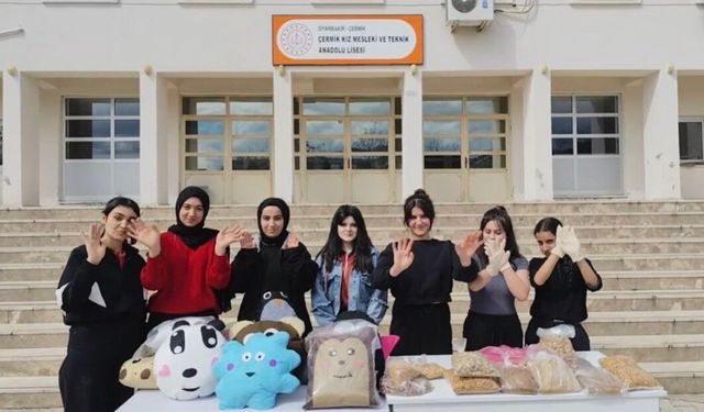 Kayseri'ye uzanan dostluk köprüsü