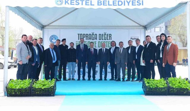 Kestel'de üreticiye 6 bin ahududu fidanı desteği
