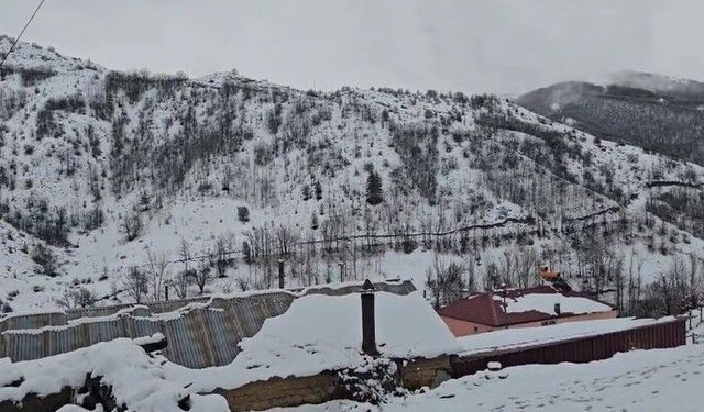 Kış geri döndü: Erzincan Refahiye'de kar yağışı etkisini gösterdi