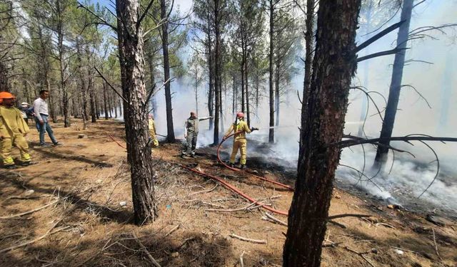 Mersin'de orman yangınlarına yönelik acil tatbikat gerçekleştirildi