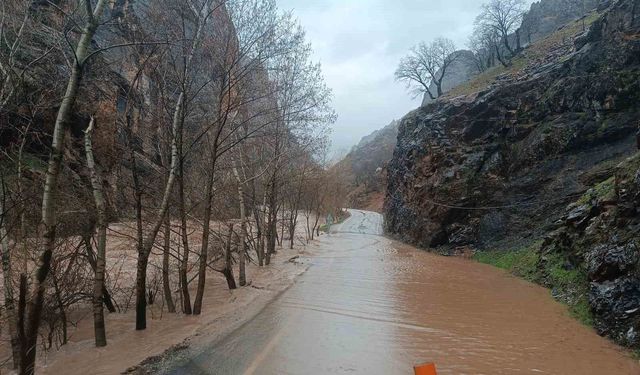 Munzur Nehri'nin taşması Tunceli-Ovacık yolunu kapattı