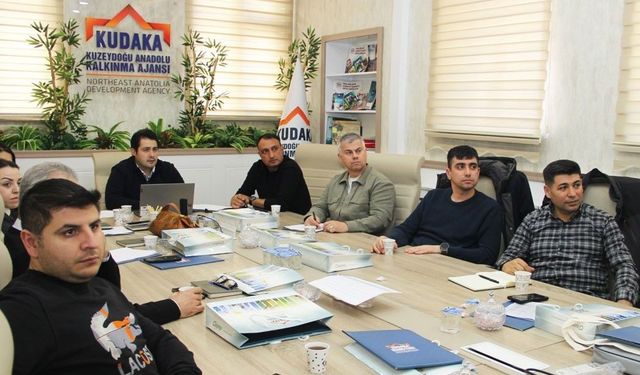 Proje yönetiminde kurumsal yetkinlik artıyor