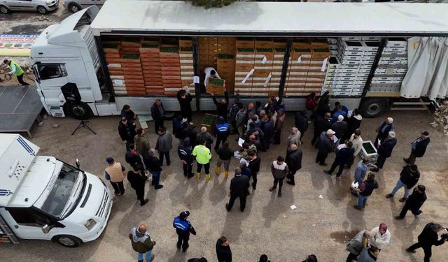 Şahinbey Belediyesi'nden çiftçilere 5 milyon fide desteği