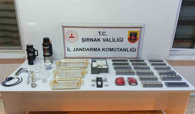 Şırnak'ta jandarmadan kaçakçılığa büyük darbe: 146 gözaltı