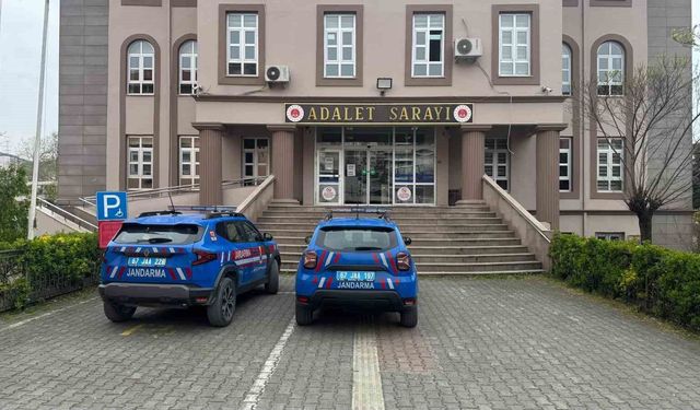 Zonguldak'ta uyuşturucu kaktüsler süs bitkisi bahçesinden ele geçirildi