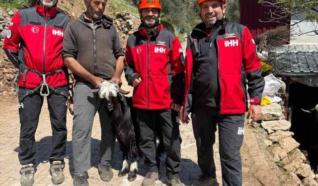 Zorlu araziye mahsur kalan 2 keçi kurtarıldı
