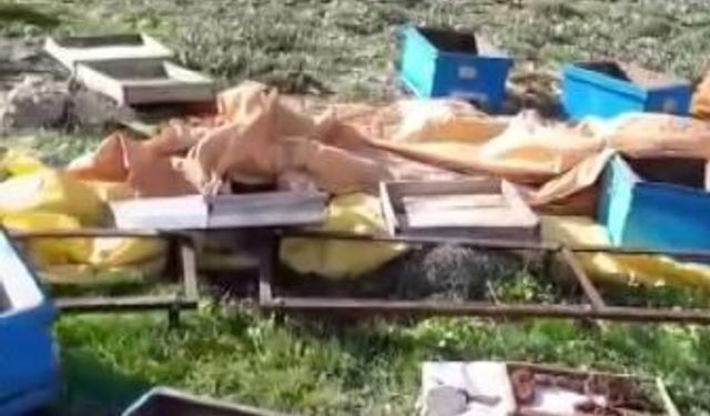 Ayı kovanları parçaladı, kaçarken kameralara yakalandı