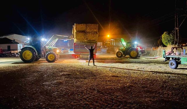 Balyacılardan hasat öncesinde çiftçilere 'sap fiyatı' uyarısı