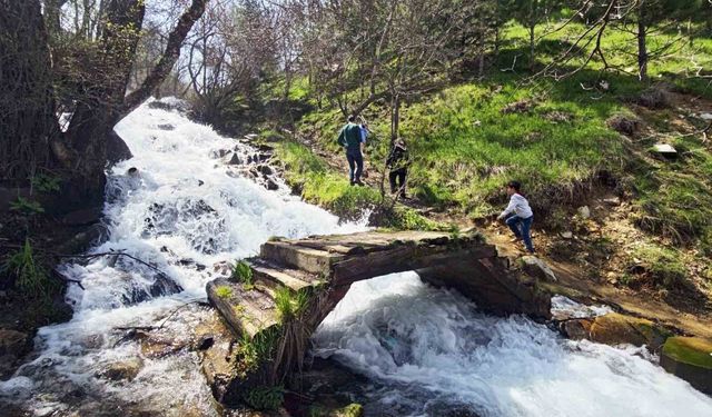Beyazsu Şelalesi, kar sularıyla yeniden canlanıyor