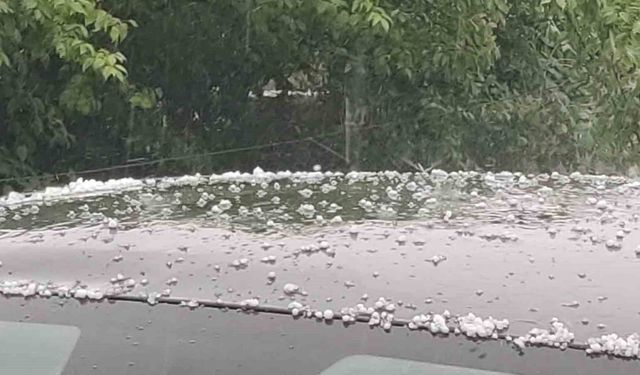 Bingöl'de etkili dolu yağışı yaşandı
