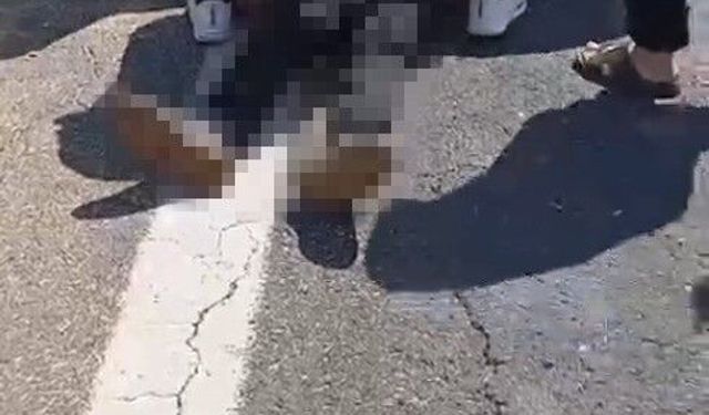 Birecik'te kurbanlık yüklü kamyonet devrildi: 1 ölü, 1 yaralı