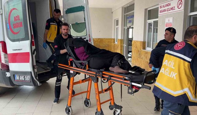 Bostana giren inek kavgaya neden oldu, 1 ölü, 3 yaralı