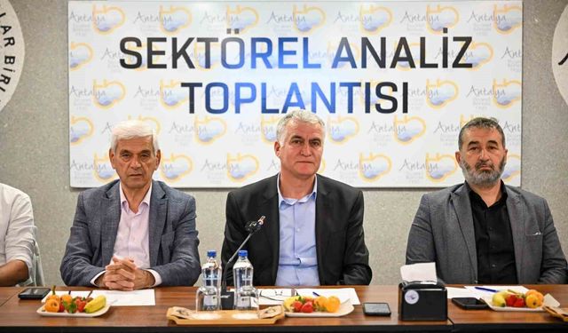 Buğdayda bereket müjdesi: Rekoltede yüzde 25 artış öngörülüyor