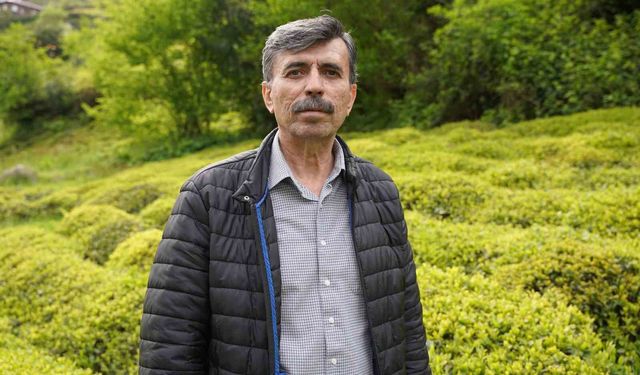 Çay üreticileri, yeni sezon için hazırlıklarını hızlandırıyor