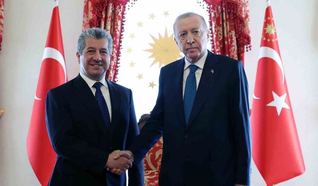 Cumhurbaşkanı Erdoğan, IKBY Başbakanı Mesrur Barzani ile bir araya geldi