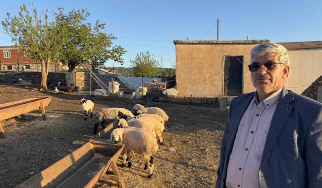 Diyarbakır'da göçerlerin meşakkatli yolculuğu başladı