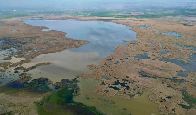 Eber Gölü'nden yıllık 22 milyon ton su çekildiği iddiaları yalan