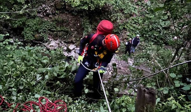 Fındık bahçesinde düştü, hayatını kaybetti