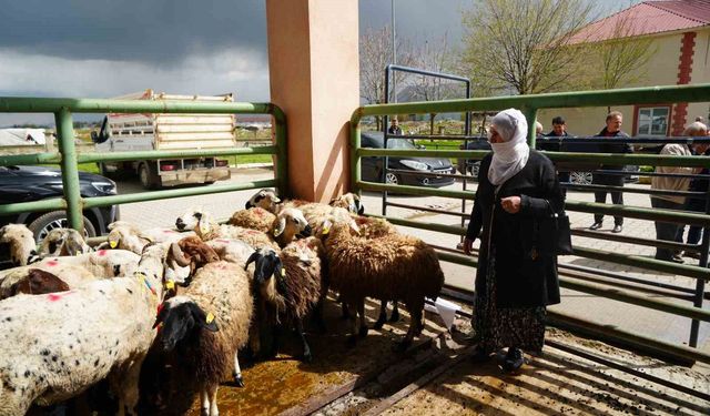 Kadın çiftçilere 3 bin küçükbaş hayvan yardımı
