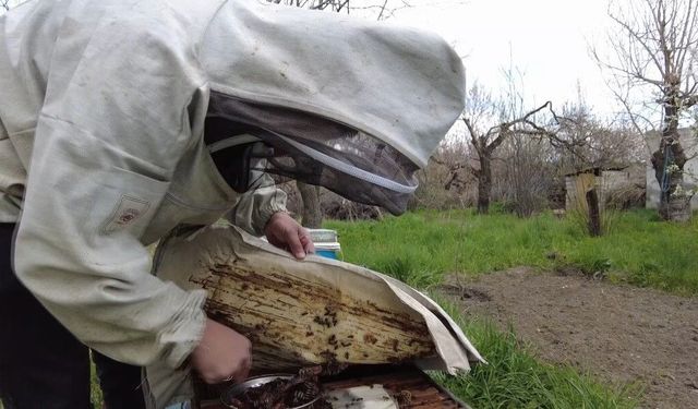 Kars'ta arıcılık geleneği devam ediyor: Bahar sezonu açıldı