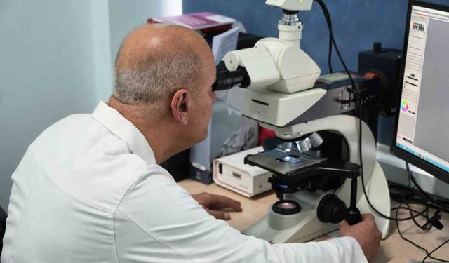 KBÜ'den Alzheımer ve benzeri hastalıklara yeni bir çözüm arayışı