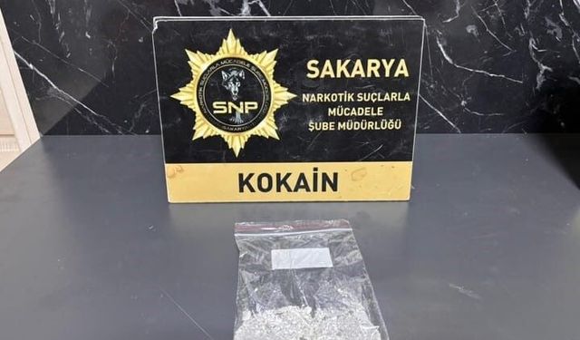 Kuzey Marmara Otoyolu'nda kokain operasyonu: Sürücü tutuklandı