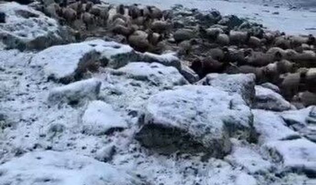 Mayıs sonunda Kars'a kar geri döndü, eksi 5 derecede sürpriz yağış