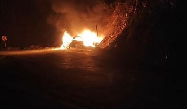 Muş'ta otomobil yangına neden oldu