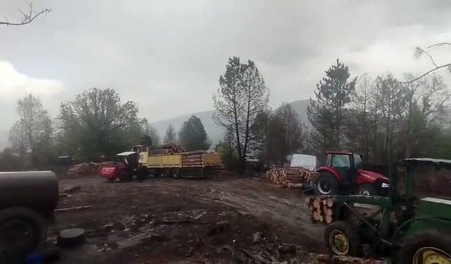 Orman işçilerine yıldırım düştü, panik anları cepte