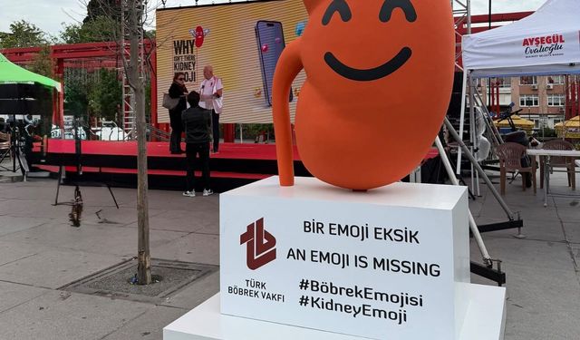 Türkiye'den dijital evrene çağrı: Böbrek sağlığına emojiler eklenmeli