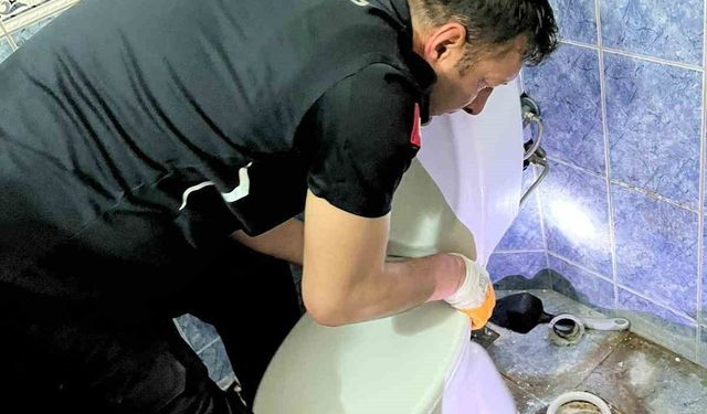 Yavru kedi klozette mahsur kaldı, itfaiye yetişti