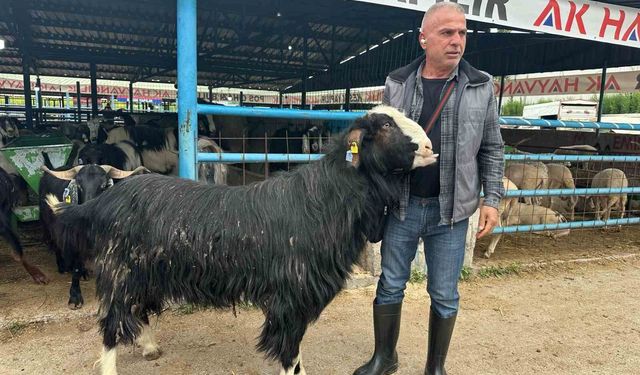 Yıldırım'daki kurban pazarında şampiyon keçi 47 bin liraya alıcı buldu