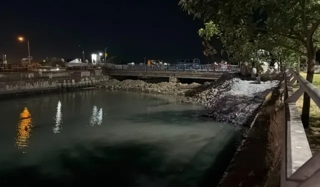 Bakırköy sahilinde korkutan görüntü: Binlerce balık neden öldü?