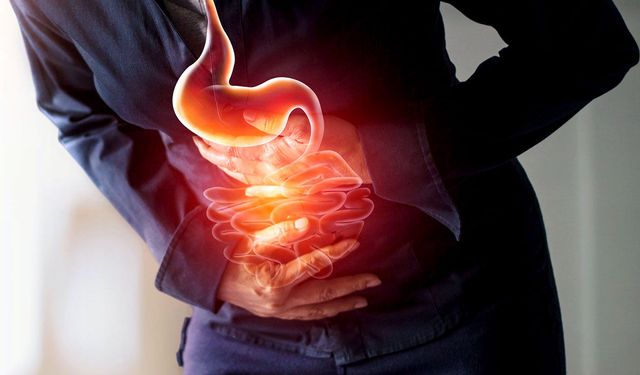 Midenin İçinde Güçlü Bir Asit Var: Peki Neden Kendi Kendini Sindirmiyor?