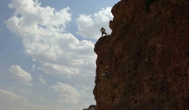 600 metre yükseklikteki kaya balı hasadı: Gercüş'teki cesur arıcı