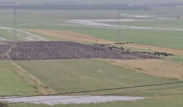 Ardahan'da Şiddetli Yağış ve Dolu Yağışı Zarar Verdi