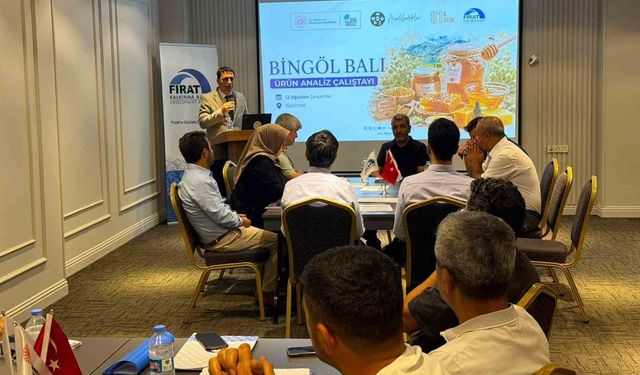 Bingöl Balı'nın Değerini Artırmak İçin Çalıştay Düzenlendi