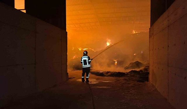 Burdur'daki çiftlikte çıkan yangın itfaiye ekipleri tarafından söndürüldü