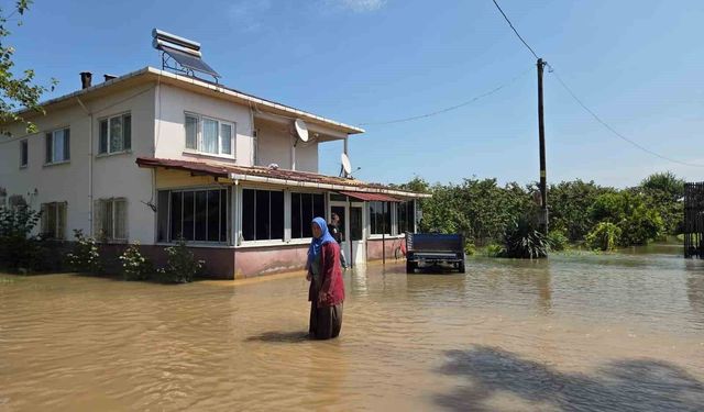 Çarşamba'da sel felaketi: Tarım alanları ve evler sular altında