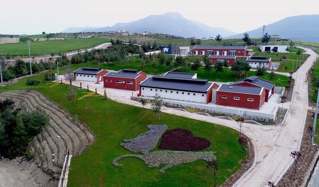 Denizli Büyükşehir Belediyesi, Barınak İddialarına Karşı Suç Duyurusunda Bulundu