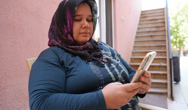 Denizli'de sokak hayvanlarına zehirli yem bırakıldığı iddiası