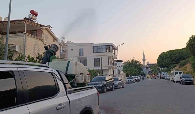 Didim Belediyesi, haşere ile mücadelede kararlılığını sürdürüyor