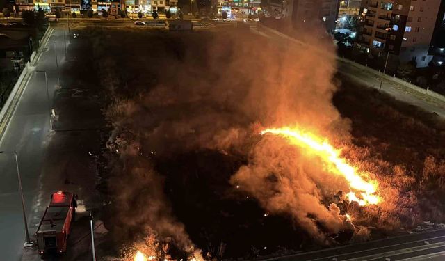 Diyarbakır'da Anız Yangını Korku Saçtı