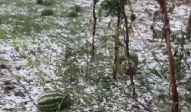 Elazığ'da fırtına ve dolu, tarım arazilerine zarar verdi