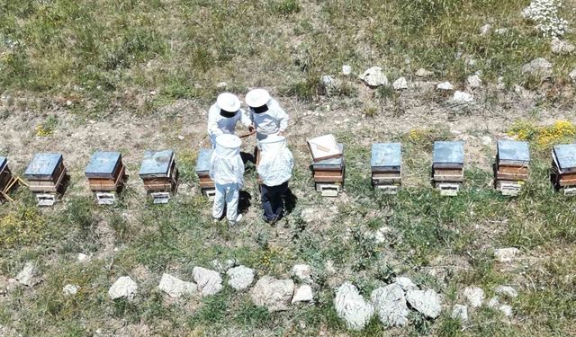 Erzincan'da arıcılar, bal sezonunu heyecanla bekliyor