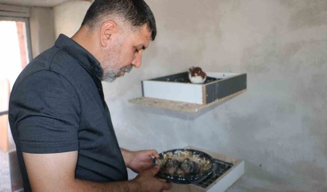 Güvercin oteli yangın sonrası yenilendi