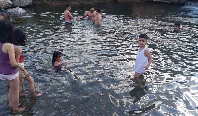 Hakkari'de Sıcak Havaya Doğal Çözüm: Otluca