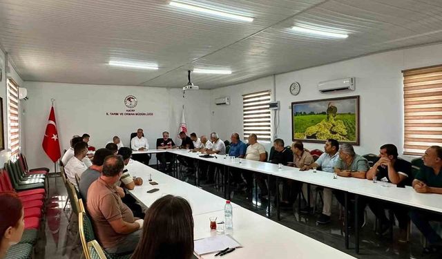 Hatay'da Salça Üreticileri İçin Sektörel Toplantı Yapıldı